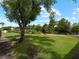 Large backyard with lush green lawn and mature trees at 1981 Bayshore Dr, Englewood, FL 34223