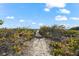 Sandy path leads to the beach at 221 Tenacity Ln, Sarasota, FL 34242