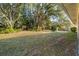 Spacious backyard with lush greenery and large trees providing shade at 3298 Branch Creek Dr, Sarasota, FL 34235