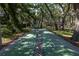 Community shuffleboard court nestled among lush trees at 3640 41St S Ln # F, St Petersburg, FL 33711