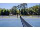 Two tennis courts with nets, surrounded by lush green trees at 401 Spring Lakes Blvd # 401, Bradenton, FL 34210