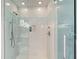 Modern shower with glass enclosure and mosaic tile accents at 655 Longboat Club Rd # 14A, Longboat Key, FL 34228