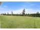 Spacious grassy backyard with hedge bordering the property at 6708 162Nd E Pl, Parrish, FL 34219