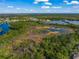 Wide aerial view of the surrounding conservation area at 790 Shadow Bay Way, Osprey, FL 34229