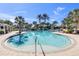 Resort-style pool with a waterslide and plenty of lounge chairs at 11816 Altamonte Ct, Venice, FL 34293