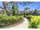 Curving walkway lined with ferns and leading through a natural landscape at 11816 Altamonte Ct, Venice, FL 34293