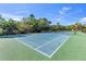 Well-maintained tennis court surrounded by trees at 11816 Altamonte Ct, Venice, FL 34293