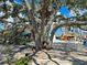 Outdoor seating area with large tree and nearby shops at 1748 Still River Dr, Venice, FL 34293