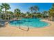 Relaxing resort-style pool with a waterslide and palm trees at 1748 Still River Dr, Venice, FL 34293