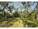 Lush backyard landscape with mature palm trees and vegetation at 3709 Wilderness W Blvd, Parrish, FL 34219