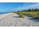 Wide sandy beach with dunes and palm trees, under a clear blue sky at 395 W Rossetti Dr, Nokomis, FL 34275