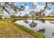 Scenic view of a tranquil pond reflecting trees and the blue sky in a community at 5432 Hampstead Heath # 26, Sarasota, FL 34235