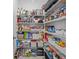 Well-organized pantry with ample shelving for storage at 5546 Appleton Shore Dr, Apollo Beach, FL 33572