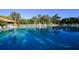 Inviting community pool surrounded by palm trees at 5671 Ashton Lake Dr # 3, Sarasota, FL 34231