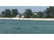 Two dolphins swimming in the ocean near a beautiful beach at 7820 Midnight Pass Rd, Sarasota, FL 34242