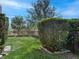 Small, fenced backyard with grassy area and manicured hedges at 8253 Grande Shores Dr, Sarasota, FL 34240