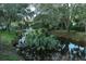 Tranquil waterway scene with lush vegetation at 1507 Water Oak Way S, Bradenton, FL 34209