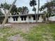 Quaint ranch home nestled amongst palm trees at 175 Island Cir, Sarasota, FL 34242
