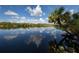 Serene lake view with palm tree and reflection at 4352 Adelaide Ave, North Port, FL 34288