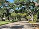 Tree-lined street in Venice, Florida at 636 Lakescene Drive Dr, Venice, FL 34293