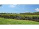 Private backyard with lush greenery at 919 Waterside Ln, Bradenton, FL 34209