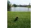 Serene backyard with pond view and lush green grass at 2905 51St W Ave, Bradenton, FL 34205