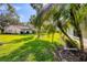 Sunny backyard with grassy lawn and palm trees at 4045 Oakhurst Dr # 3125, Sarasota, FL 34233