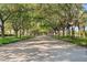Lush tree-lined community road at 7561 Pesaro Dr, Sarasota, FL 34238