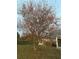 A view of the side yard showcasing a leafy deciduous tree in partial fall foliage at 1382 Ronald St, North Port, FL 34286