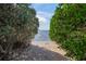 Secluded beach access through lush vegetation, leading to calm waters at 1707 Palma Sola Blvd, Bradenton, FL 34209