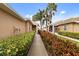 Walkway between houses with manicured hedges at 288 Fairway Isles Ln, Bradenton, FL 34212