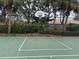 Outdoor basketball court with painted lines and a hoop at 3810 82Nd Avenue E Cir # 102, Sarasota, FL 34243