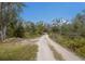 Long dirt driveway leading through a wooded area at 38355 State Road 64 E, Myakka City, FL 34251