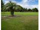 Lush green grass and palm trees on the golf course at 804 Buttonwood Dr, Bradenton, FL 34208