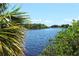 Peaceful river scene with lush vegetation at 12409 Wigeon Dr, Bradenton, FL 34212