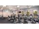 Well-equipped gym featuring treadmills, stationary bikes, and other exercise machines at 13153 Steinhatchee Loop, Venice, FL 34293