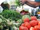 Fresh produce at a vibrant farmers market at 202 27Th W St, Bradenton, FL 34205