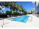 Resort-style pool with ample lounge chairs at 340 S Palm Ave # 45, Sarasota, FL 34236