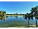 Scenic lake view with palm trees and golf course in background at 5251 Mahogany Run Ave # 524, Sarasota, FL 34241