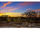 Vibrant sunset over tranquil waters and vegetation at 5902 Red Mangrove Ln, Bradenton, FL 34210