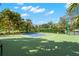 Outdoor basketball court with green surface and palm trees at 662 Fernwalk Ln, Osprey, FL 34229