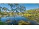 Serene lake view featuring a fountain and lush greenery at 32 Bayhead Ln, Osprey, FL 34229