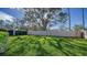 Spacious backyard with large tree and well-manicured lawn at 4201 Palacio Dr, Sarasota, FL 34238