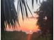 Picture of a beautiful ocean sunset viewed through native foliage and palm trees at 631 43Rd Street W Blvd, Palmetto, FL 34221