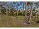 Large grassy yard with mature trees and fencing at 6424 18Th E Ave, Bradenton, FL 34208