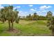 Lush green landscape with palm trees and a tranquil atmosphere at 7910 34Th W Ave # 102, Bradenton, FL 34209