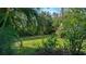 Lush green backyard with tropical landscaping at 8994 Wildlife Loop, Sarasota, FL 34238