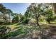 Large backyard with lush landscaping and mature trees at 1003 Lake Avoca Dr, Tarpon Springs, FL 34689