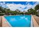 Community pool with lounge chairs and umbrellas at 1003 Lake Avoca Dr, Tarpon Springs, FL 34689