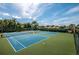 Two well-maintained tennis courts at 1003 Lake Avoca Dr, Tarpon Springs, FL 34689